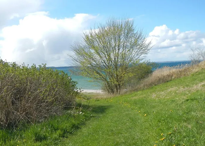 Сasa de vacaciones 6 Person In Brenderup Fyn-by Traum *